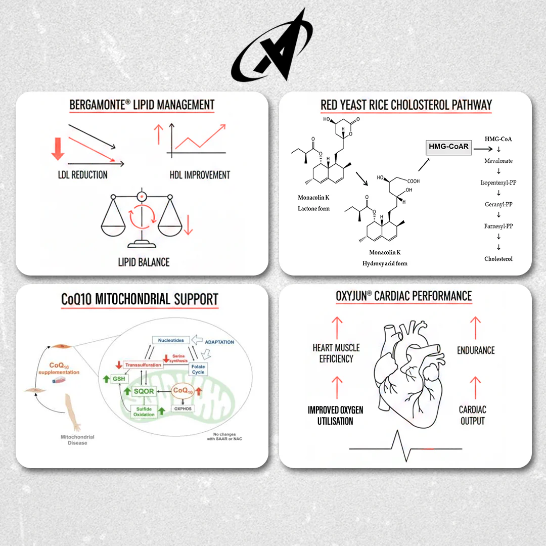 Full of Heart - Premium Cardiovascular Support - Image 5